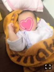 ブログイメージ