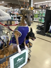 ブログイメージ