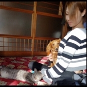 ブログイメージ