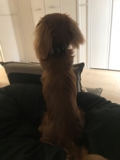 ブログイメージ