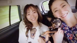 ブログイメージ