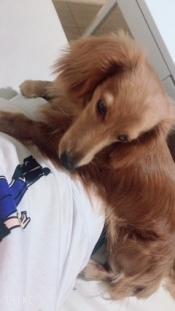 ブログイメージ
