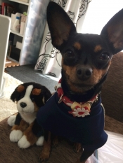 ブログイメージ