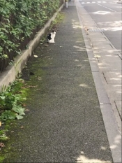 ブログイメージ
