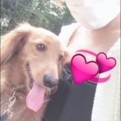 ブログイメージ