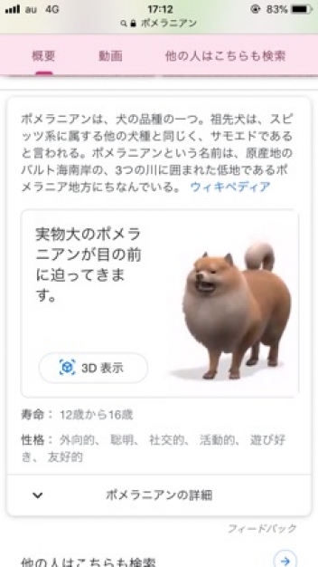 ブログイメージ