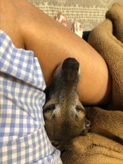 ブログイメージ