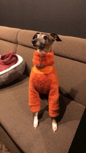 ブログイメージ