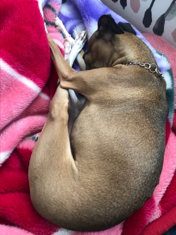 ブログイメージ