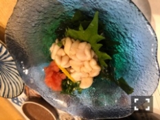 ブログイメージ