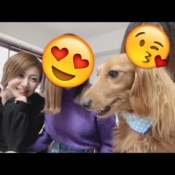 ブログイメージ