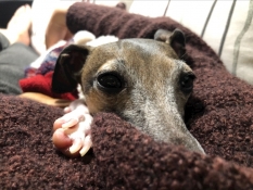 ブログイメージ