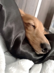 ブログイメージ