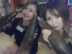 ブログイメージ