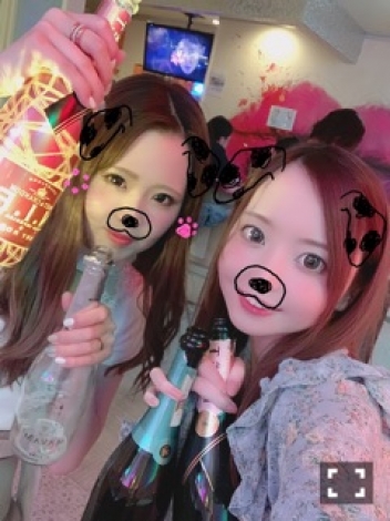 ブログイメージ