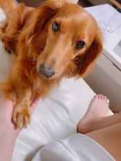 ブログイメージ