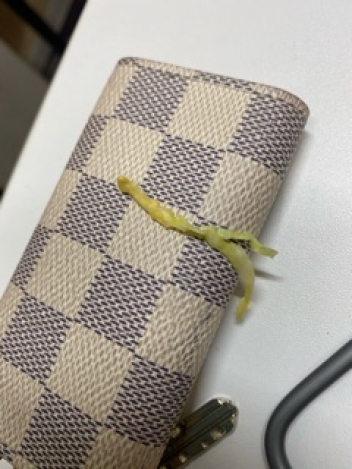 ブログイメージ