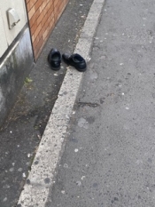 ブログイメージ