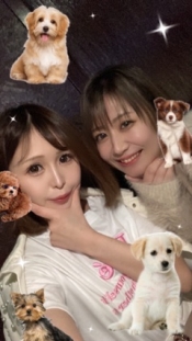 ブログイメージ