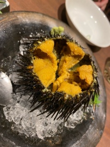 ブログイメージ