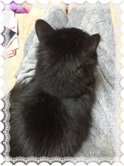ブログイメージ