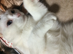 ブログイメージ