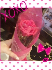 ブログイメージ