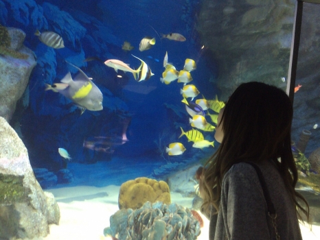 ブログイメージ