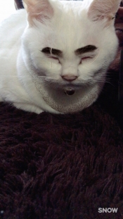 ブログイメージ