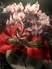 ブログイメージ