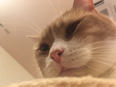ブログイメージ
