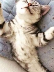 佐藤光太 イメージ