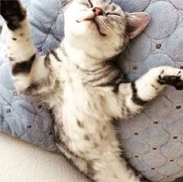 佐藤光太 イメージ1