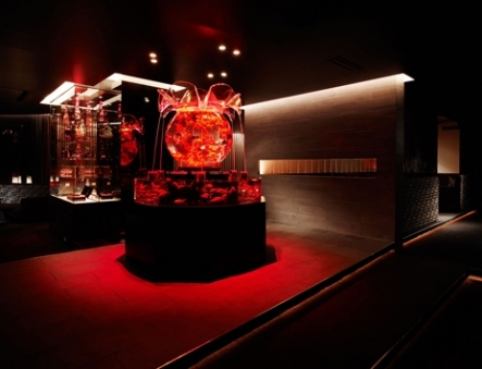 kingyo[キンギョ]イメージ1