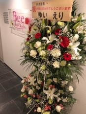 ブログイメージ