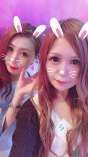 ブログイメージ
