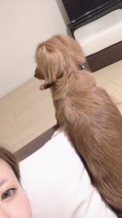 ブログイメージ